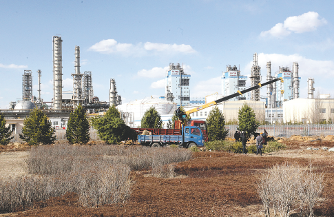 绿茵直播App界面